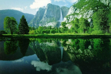 Free 3D Nature Wallpapers   Wallpapers Cave