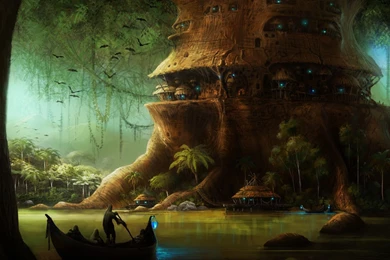 114 Forest HD Wallpapers