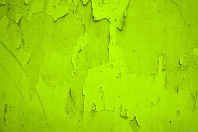 Green Background Images   Wallpapers Cave