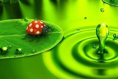 3d And Bright Green Ipad Wallpapers Picture On VisualizeUs