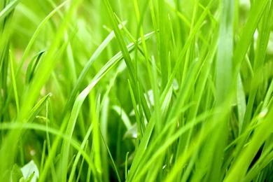 8TRADE Import&Export