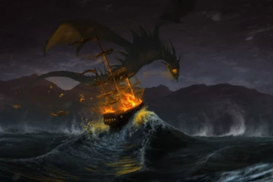 Rabbit Wallpapers Pictures