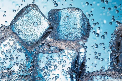 Download Flower Closeup 2 Wallpapers 1920x1080