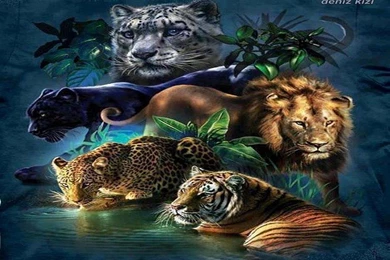 Wallpapers Fantasy Cat Best Hd Free 1024x768