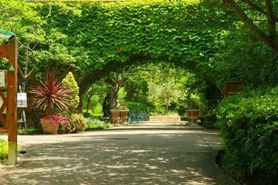 Gardens Wallpaper: Beautiful Japanese Garden Wallpapers 1280x1024 ...