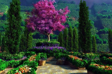 Beautiful Garden Wallpapers   Digital Art Wallpapers