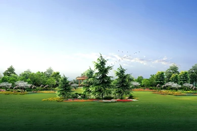 Green Garden Wallpapers And Images   Wallpapers, Pictures, Photos