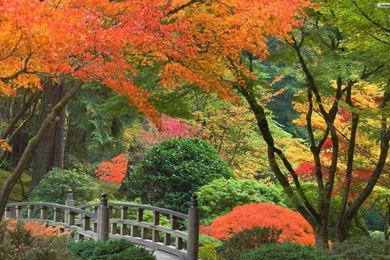 YouWall   Japanese Garden Wallpapers   Wallpaper,wallpapers,free ...