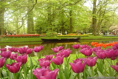 Flower Garden Wallpapers For Desktop SV7