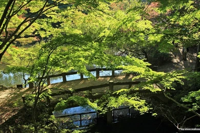 Beautiful Japanese Garden Wallpapers 1280x800 NO.29 Desktop ...