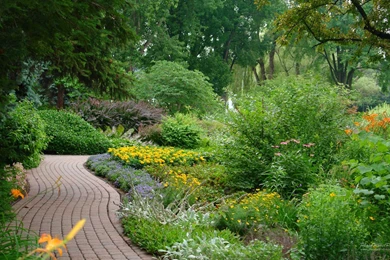 Gallery For   Free Flower Landscaping Wallpapers