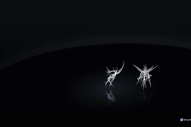 Black Computer Wallpapers, Desktop Backgrounds