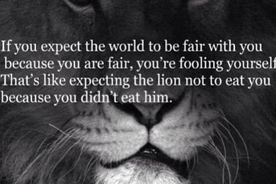 Lion background quote hd.jpg