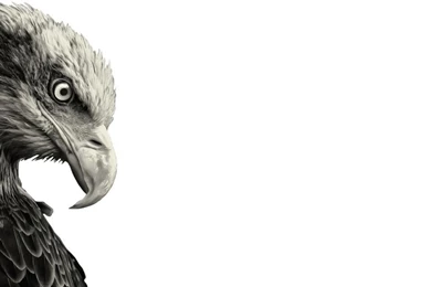 Macbook Pro Desktop Backgrounds » Great Wallpapers HD