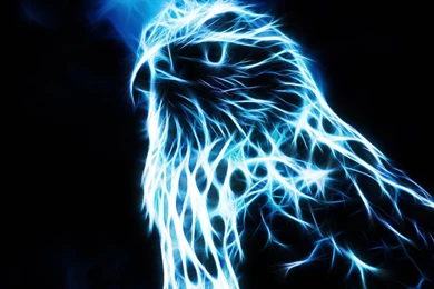 Eagle Gorgeous Mac Free Wallpapers / Wallpapers Eagle 6299 High ...