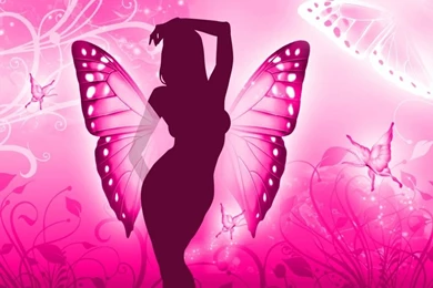 Cute Butterfly Pictures   Wallpapers HD Base