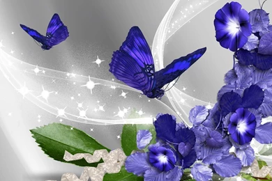 Butterfly Flower Wallpapers   Wallpapers HD Base