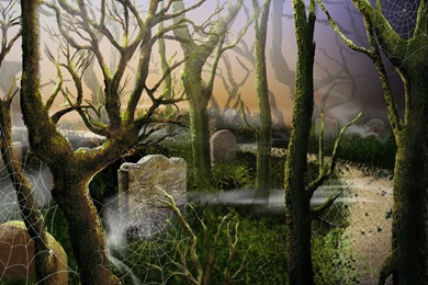 Halloween Haunts   Halloween Widescreen Wallpapers 1680x1050 NO.38 ...