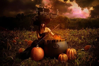 Halloween Witch Wallpapers   Crazy Frankenstein