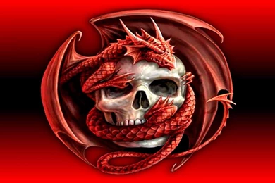 Hd 3d Wallpapers Dragon   HD Beautiful Desktop Wallpapers