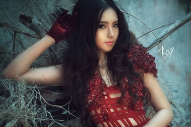 25 Vietnamese Model HD Wallpapers