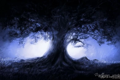 Midnight Tree Computer Wallpapers, Desktop Backgrounds