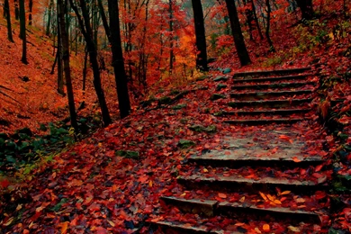 Fall Season Wallpapers For Windows