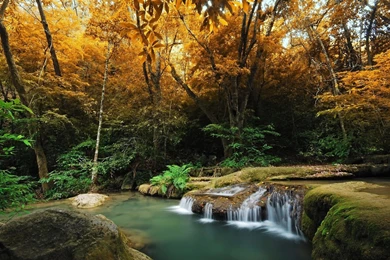 Gallery For   Fall Wallpapers Hd Widescreen