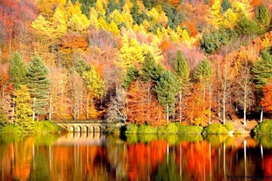 Wallpapers for gt fall Computer wallpaper widescreen hd.jpg