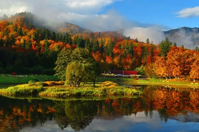 Misty Autumn Mountain   (