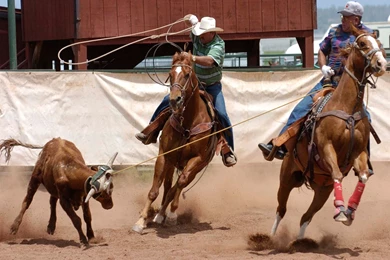 Free Cowboys Computer Desktop Wallpapers