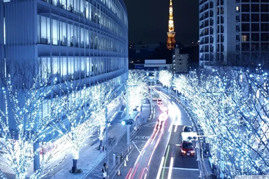 Other: Blue Lights Tokyo Street City Trees HD Backgrounds For HD 16 ...