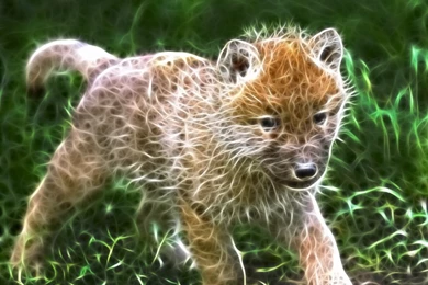 Fractal Wolf Pup By Msggordon On DeviantArt