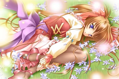 Pink Anime Wallpapers