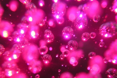 Bright Pink Wallpapers   All Wallpapers New