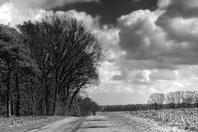Iphone4 Black and White Road.jpg