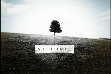 Six Feet Under   Six Feet Under Wallpapers (111588)   Fanpop