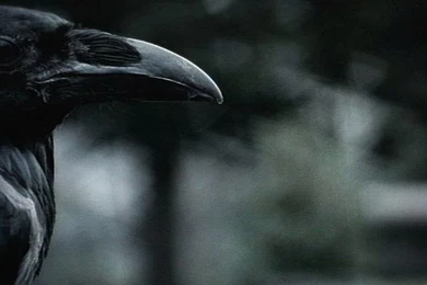 HBO: Six Feet Under: Opening Sequence