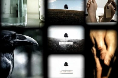 Wallpapers TV Soaps > Wallpapers Six Feet Under Main Title By Tony ...