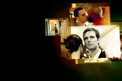 Six Feet Under Wallpapers   Lick Our Legs