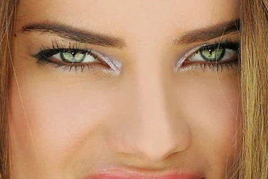 Download Adriana Lima Brick Wall Wallpapers For iPhone 4