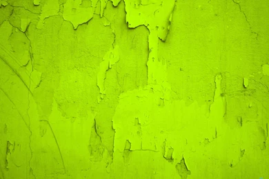 Green Backgrounds Photos 2006 HD Backgrounds