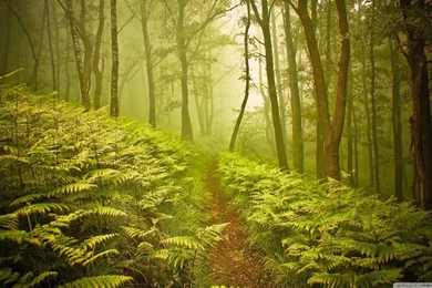 Landscape HD Wallpapers