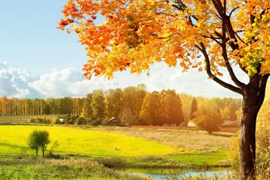 Fall Desktop Wallpapers Widescreen   Desktop Backgrounds