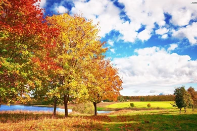 YouWall   Sunny Autumn Wallpapers   Wallpaper,wallpapers,free ...