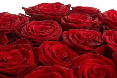 HD Wallpapers Freebie   Quality Free Download Wallpapers