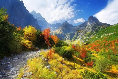 Christmas Wallpaper, Free Wallpapers Downloads: November 2012