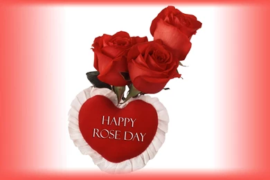 Amazing Happy Rose Day Desktop Pics Beautiful Happy Rose Day Wide ...