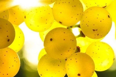 100 HD Phone Wallpapers For All Screen Sizes