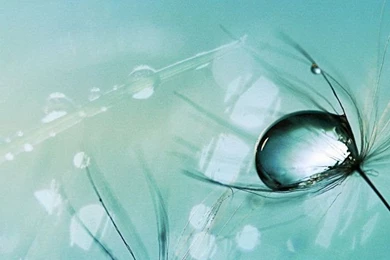 Natural landscape mobile wallpapers 640x960 02.jpg